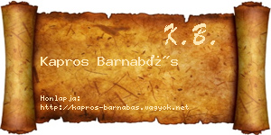 Kapros Barnabás névjegykártya