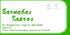 barnabas kapros business card